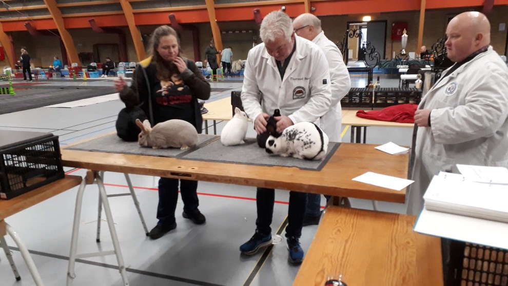 Weekendens dommere kommer fra Norge