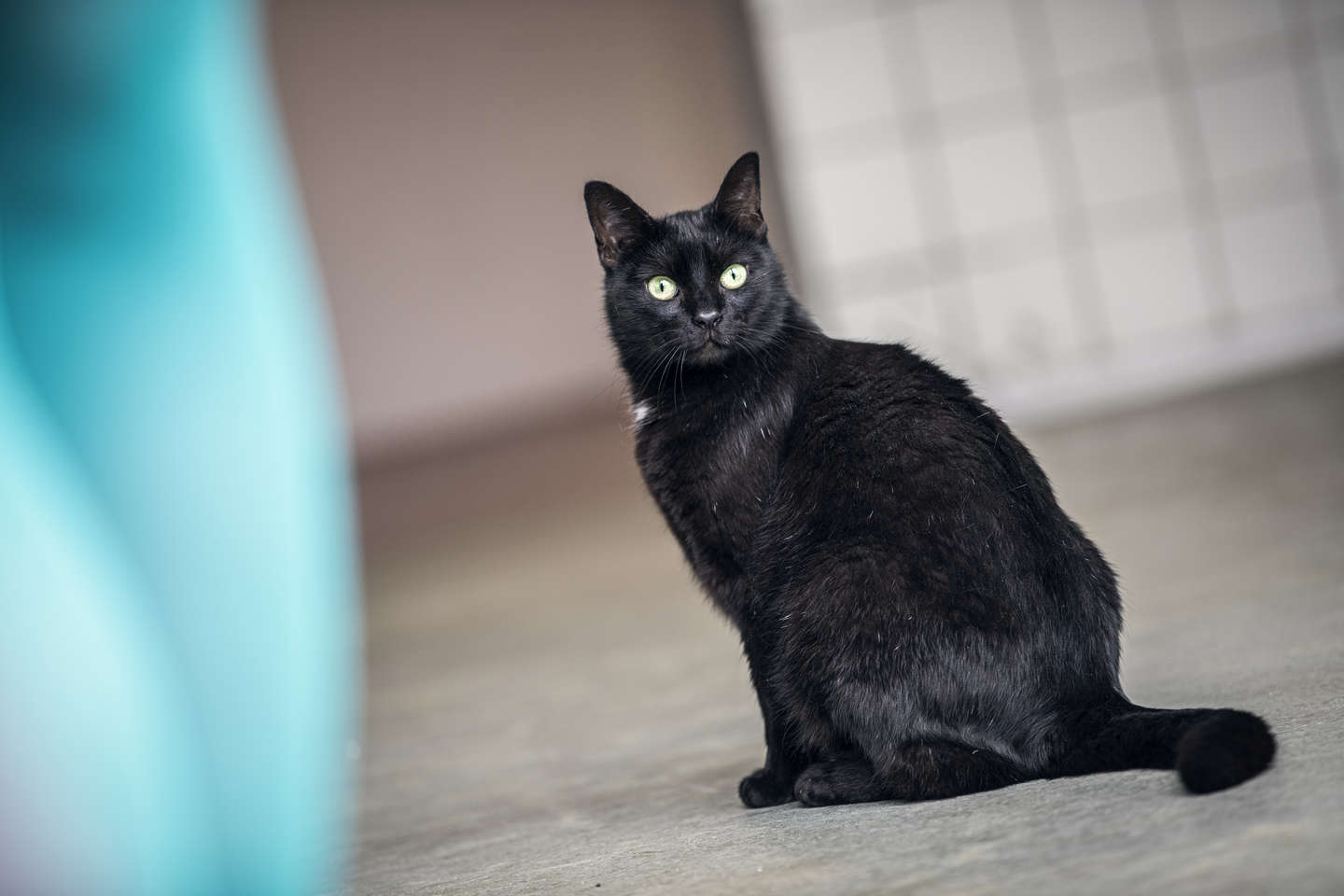 K�rte videre efter p�k�rsel: 'Der er altid en undskyldning'