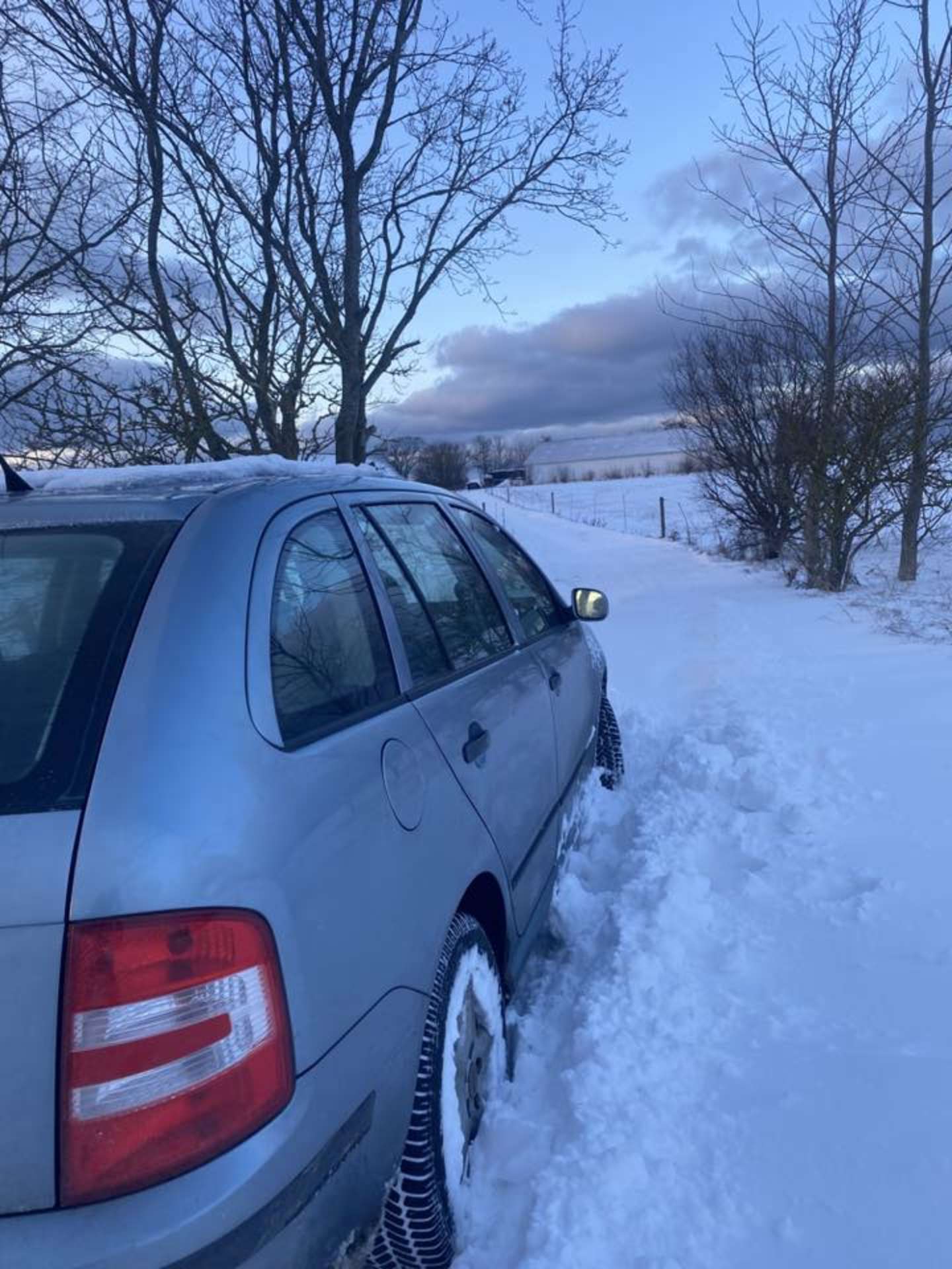 L�sernes bedste vinterbilleder