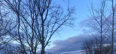 Læsernes bedste vinterbilleder