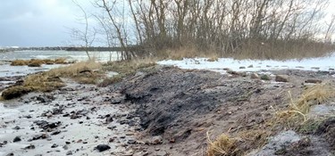 Kemisk affald skyller i havet fra Snogebæk Havn
