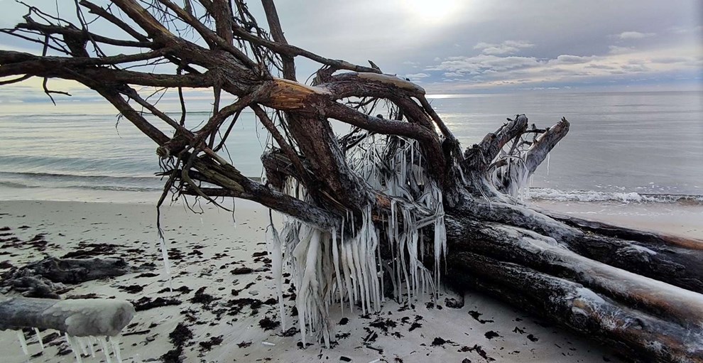 Dagens billede: Stranden ved Jomfrug�rden ved Dueodde