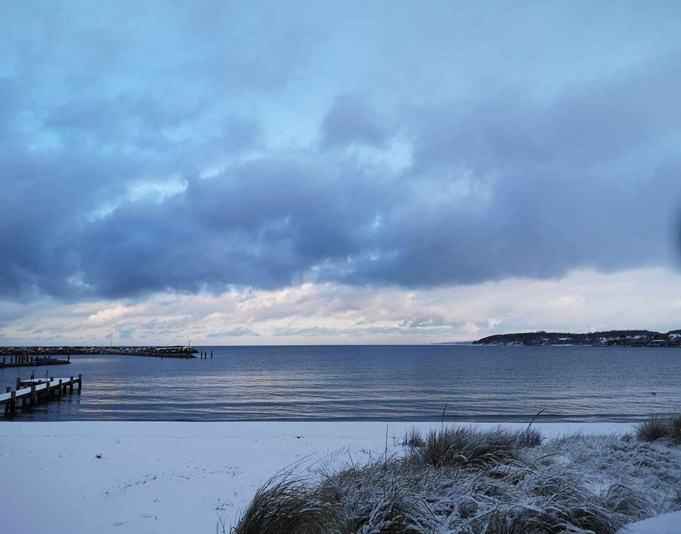 Dagens billede: Dette vinterbillede er taget ved Nørrekås forleden. Blåt i blåt. Dagens billede: Dette vinterbillede er taget ved Nørrekås forleden. Blåt i blåt.