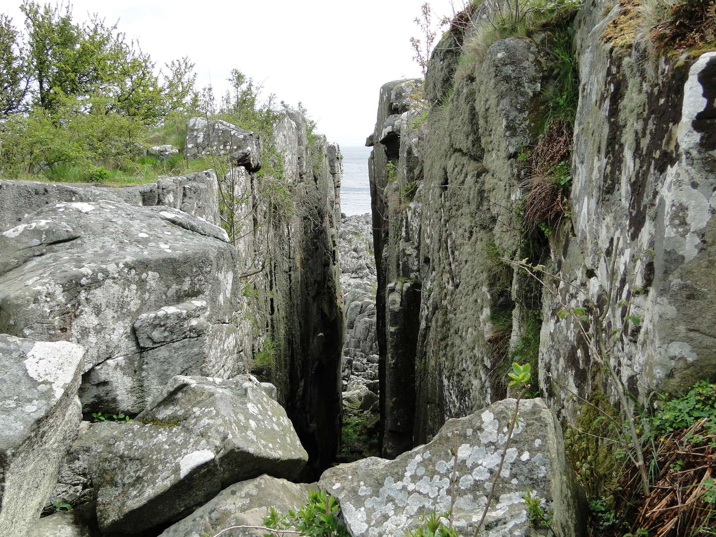 Fonde redder Bornholms vilde natur