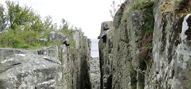 Fonde redder Bornholms vilde natur