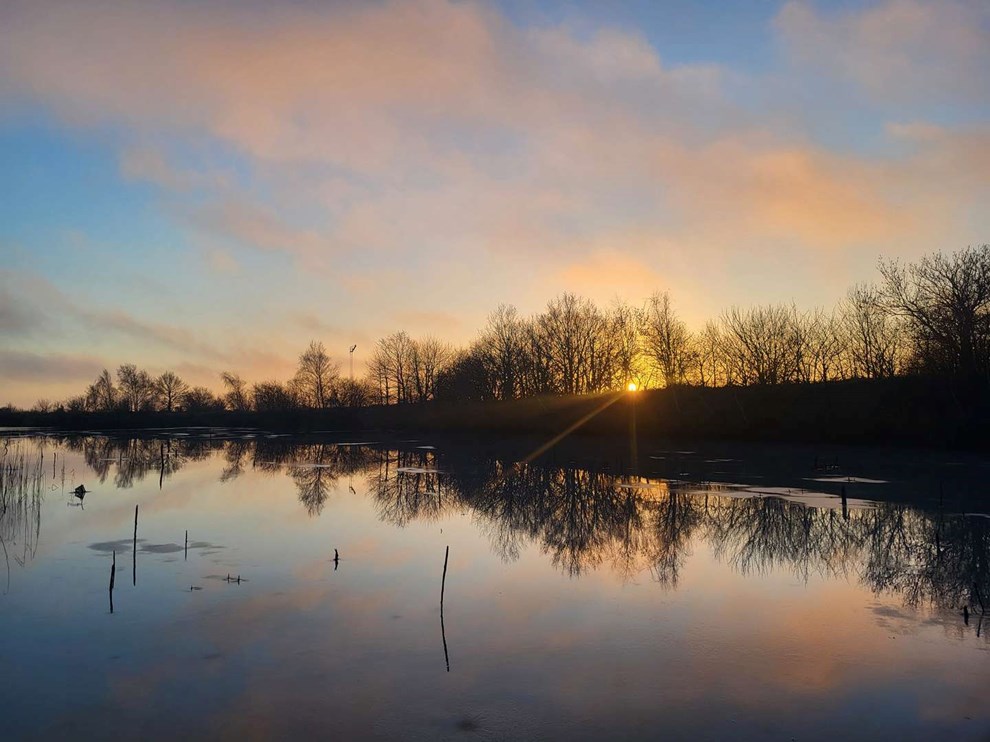 Dagens billede: Endelig lidt opklaring og sol. Her ved s�en p� Porcel�nsvej