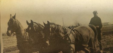 Heste var hele Eriks liv