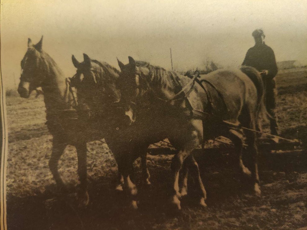 Heste var hele Eriks liv