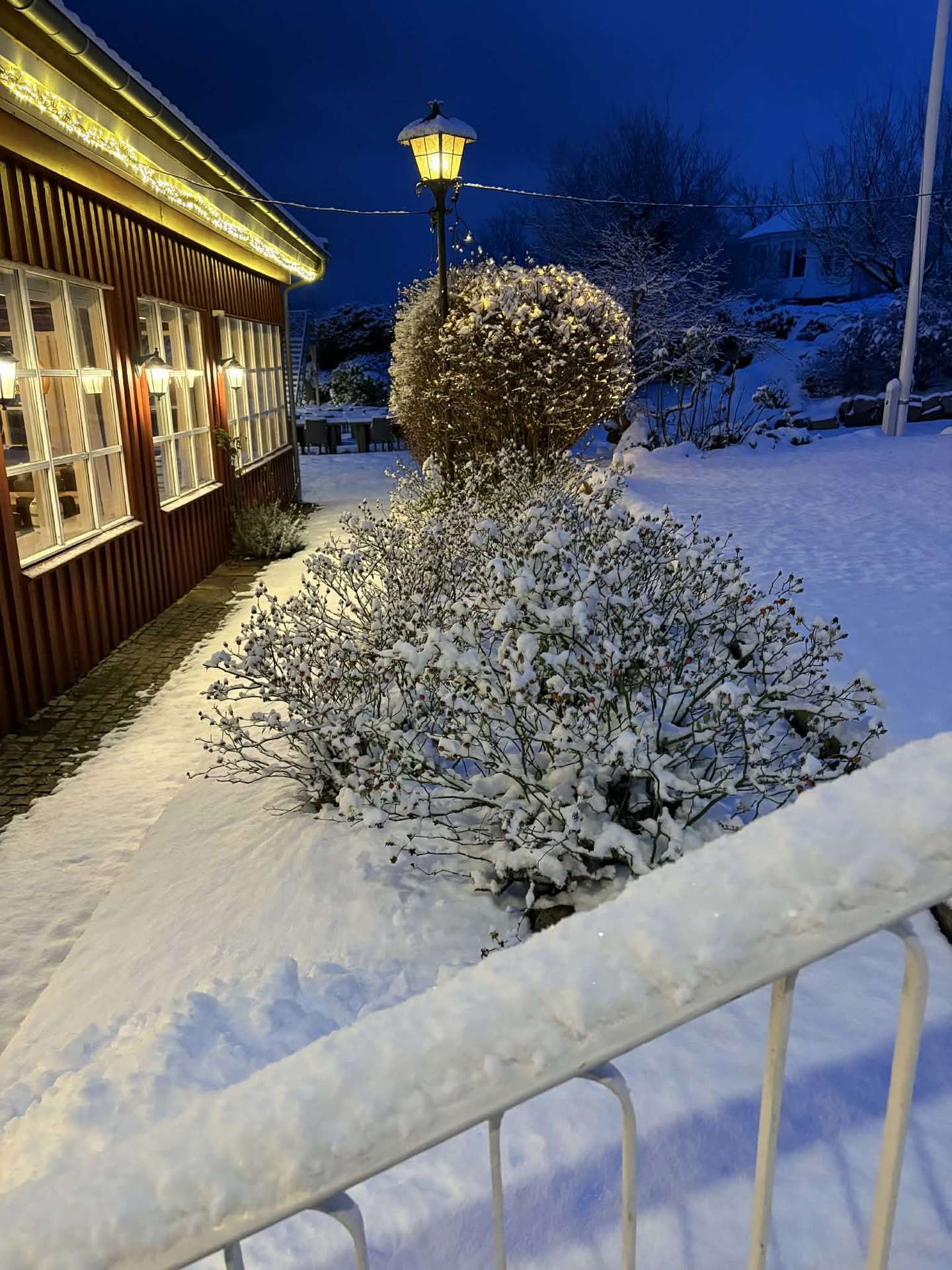 S�ndagsbuffet p� glatis