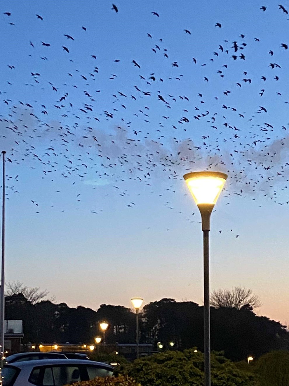 Dagens billede: Sort Sol over Kapelvej i R�nne