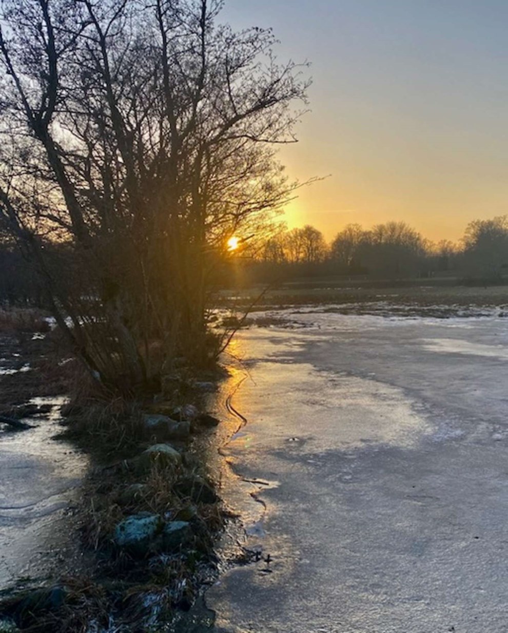 Dagens billede: Gylden eftermiddag i Nex�