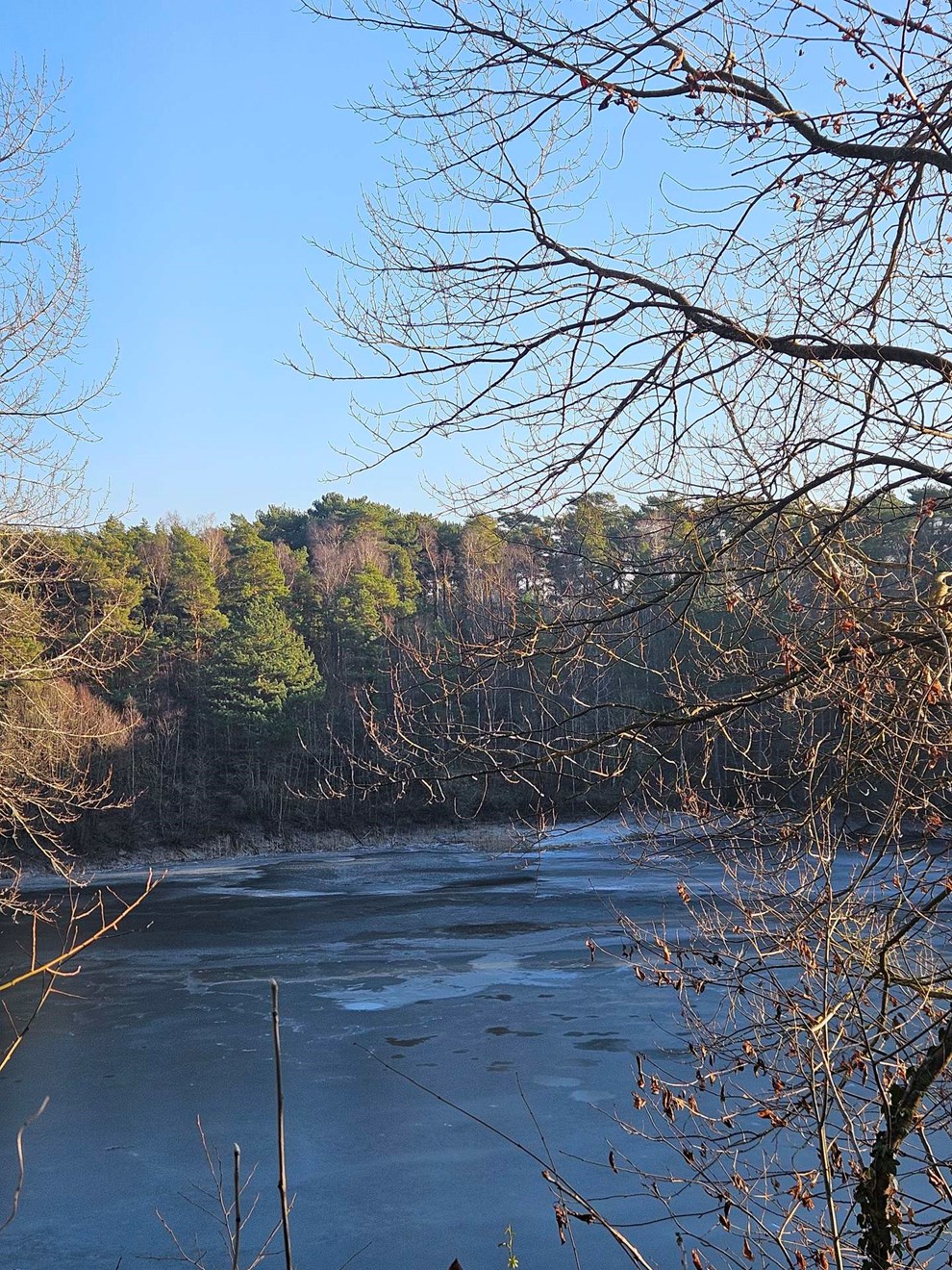 Dagens billede: Vinterkulden har lagt sin f�rste is p� Rubins�en