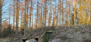 Fra lufttørret skinke til eksplosive stoffer: Forsvaret giver bunkere nyt liv