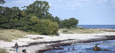 Nyt værtspar klar til Melsted Badehotel: Erfaren profil overtager roret