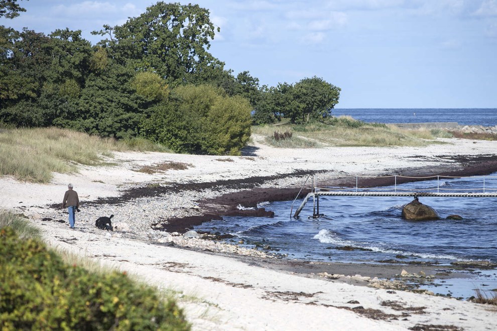 Nyt v�rtspar klar til Melsted Badehotel: Erfaren profil overtager roret