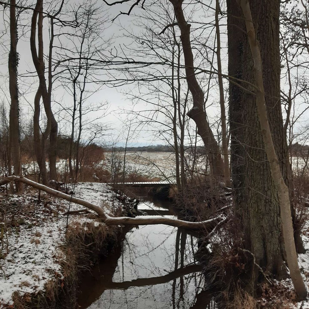 Dagens billede: Skimter lidt bl� himmel. L�nges efter for�r