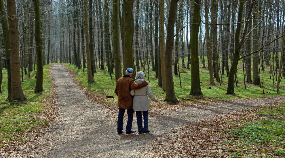 �ldreloven: Tiltr�ngte forbedringer