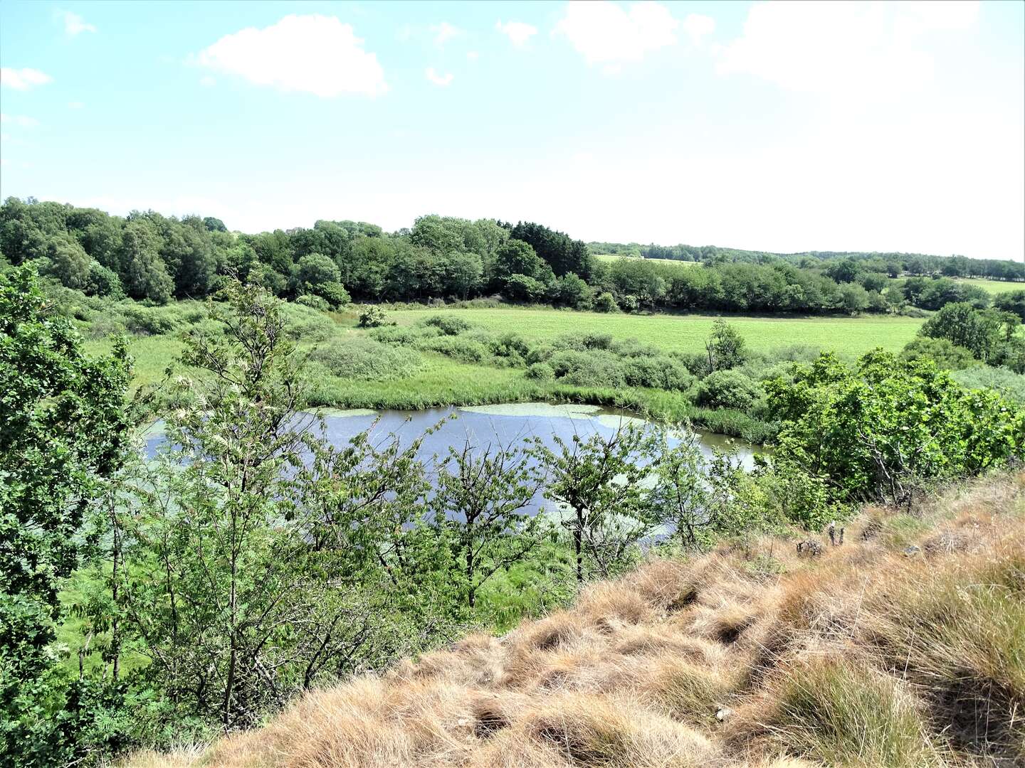 P� jagt efter for�rets f�rste tegn i Kleven