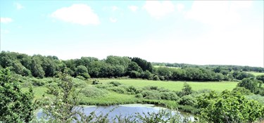 På jagt efter forårets første tegn i Kleven