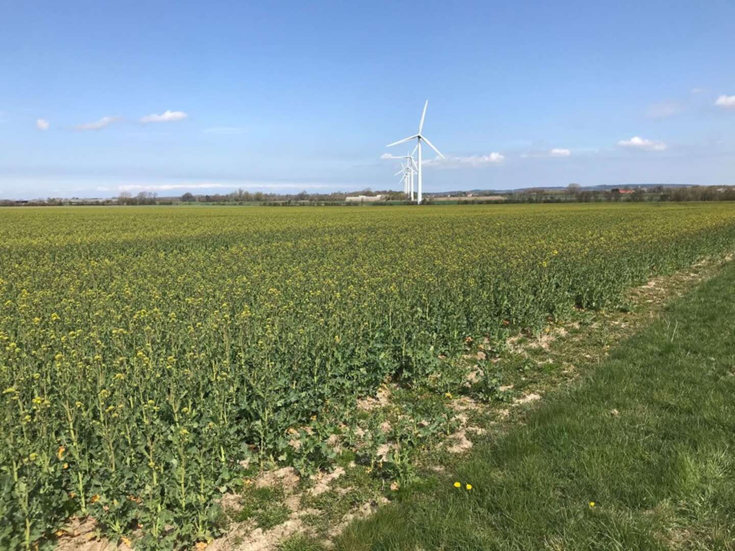 Et bredt flertal præsenterede 3. februar en aftale, der sikrer, at Energiø Bornholm bliver til virkelighed. foto Jakob Nørmark