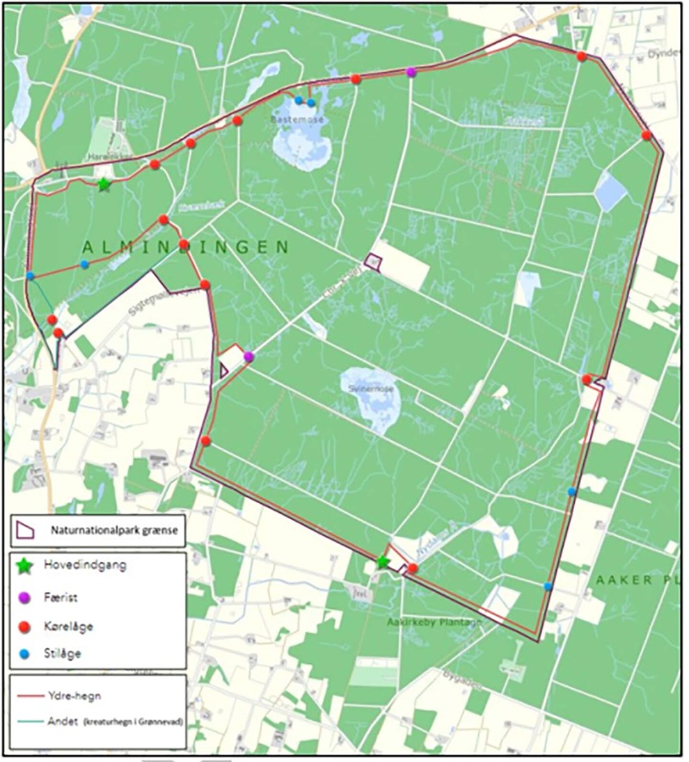 Gr�nt lys til hegn i Almindingen  