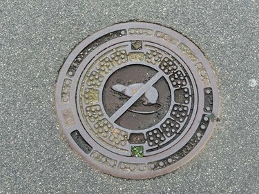 Kaas: Gad vide om de har f�rre rotter