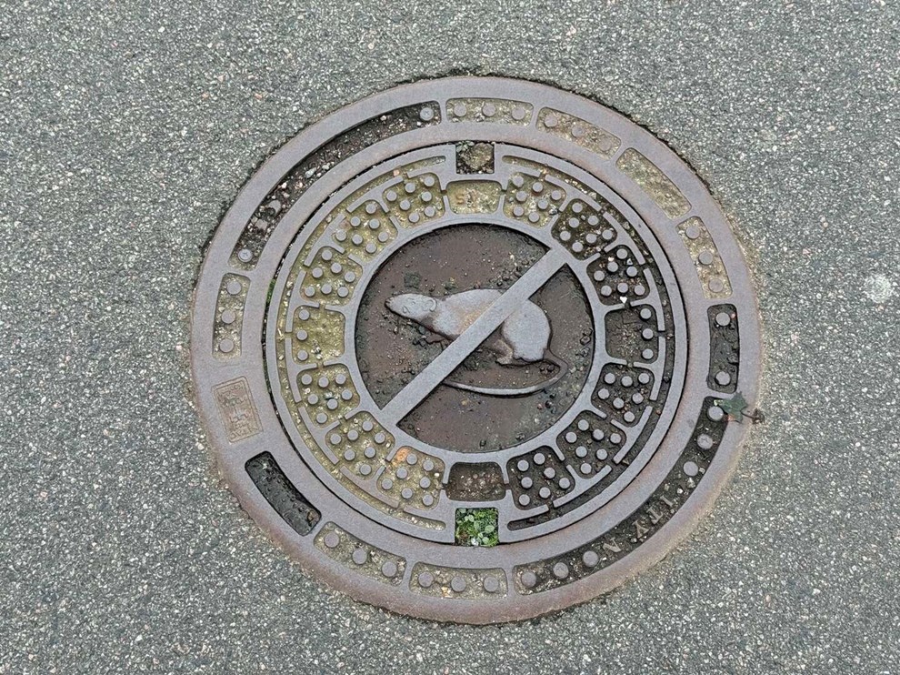 Kaas: Gad vide om de har f�rre rotter