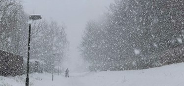 Sådan kan vi spinde guld