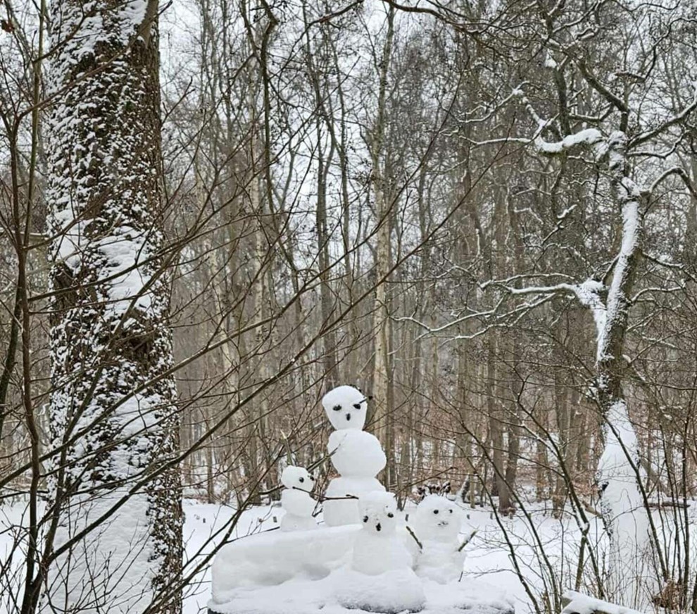 Dagens billede: Pludselig stod 