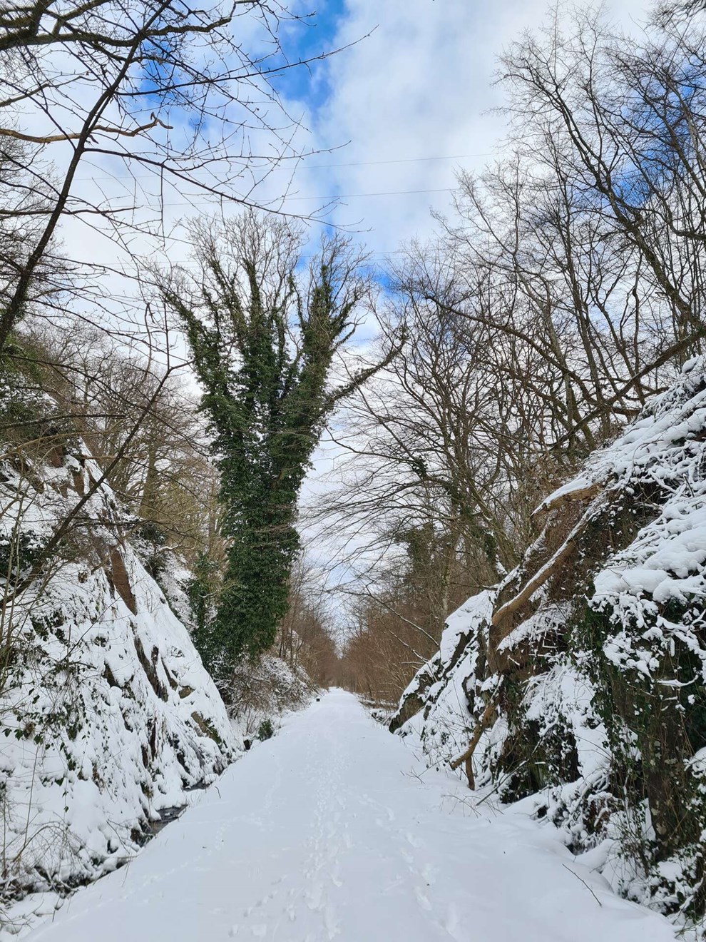 Dagens billede: Sne og blå himmel i Kleven Dagens billede: Sne og blå himmel i Kleven