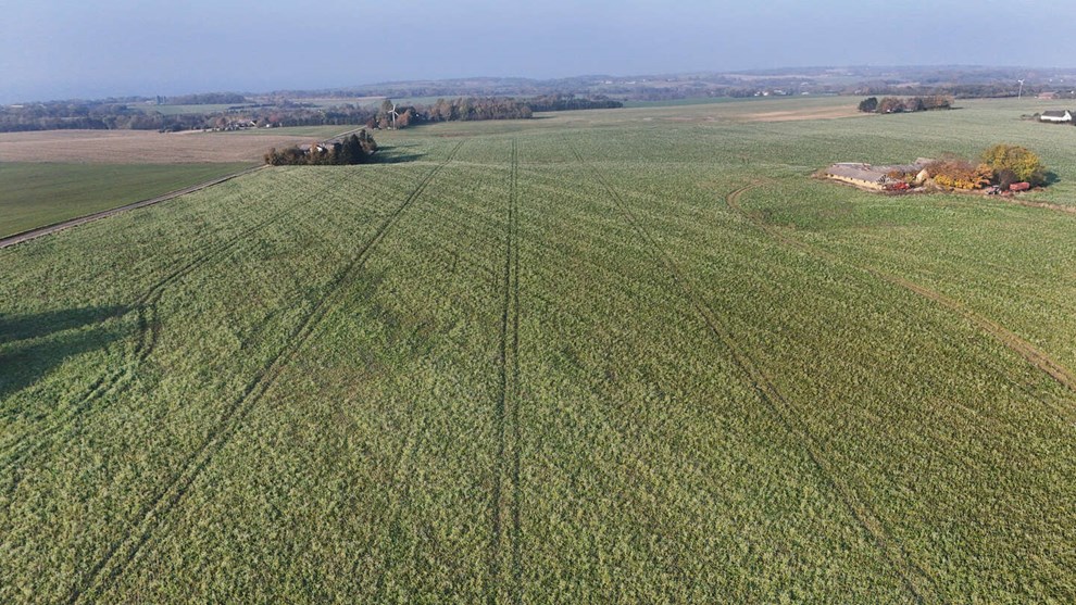 Narrativet om landbrugets uundværlighed er falsk Narrativet om landbrugets uundværlighed er falsk