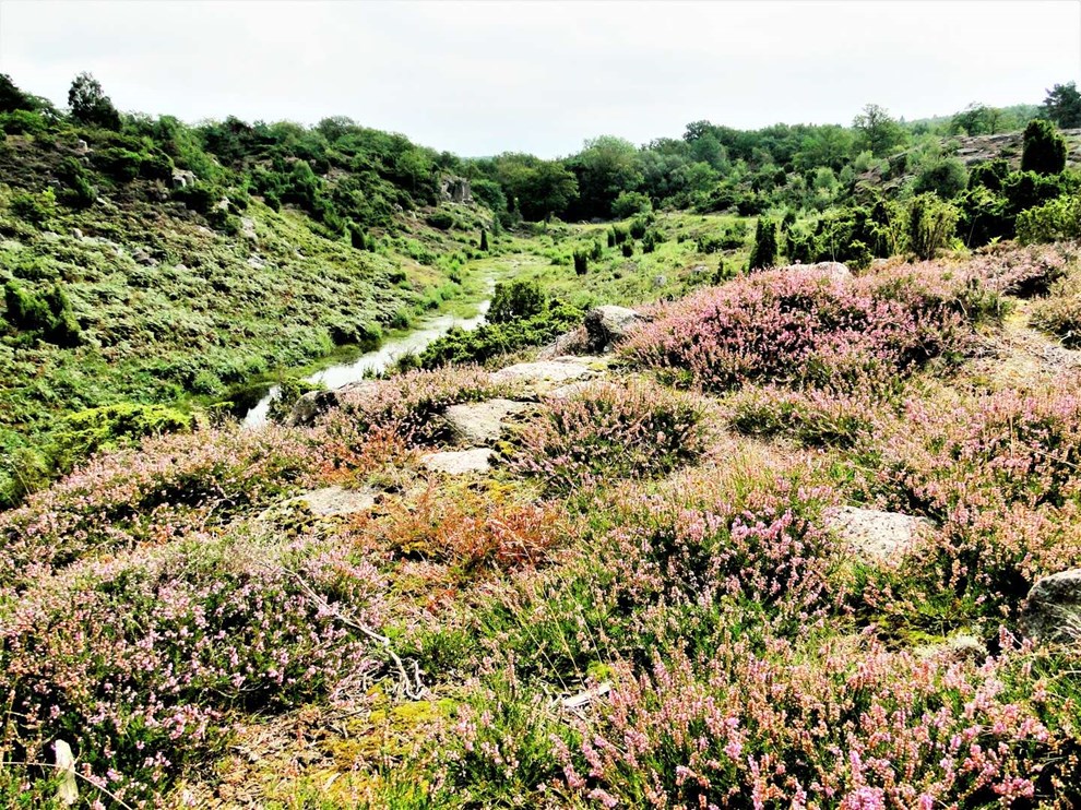 Nu �ndres Bornholm igen