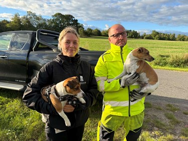 Rotterne v�lter ind: Bornholmerne sl�r alarm