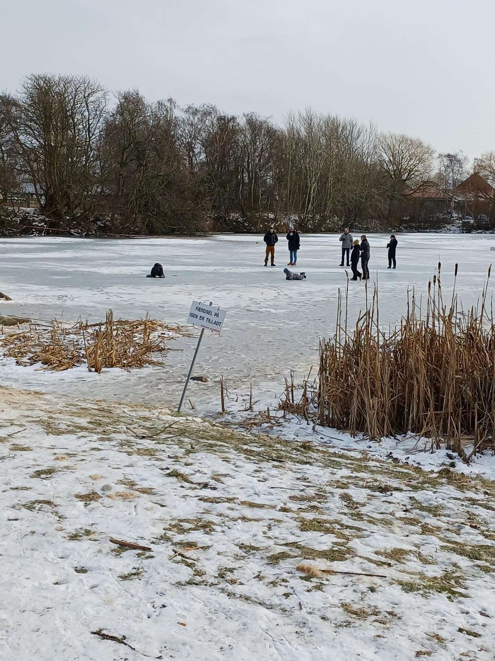 Dagens billede: Folk har bev�get sig ud p� Zarthmannsvej-s�en