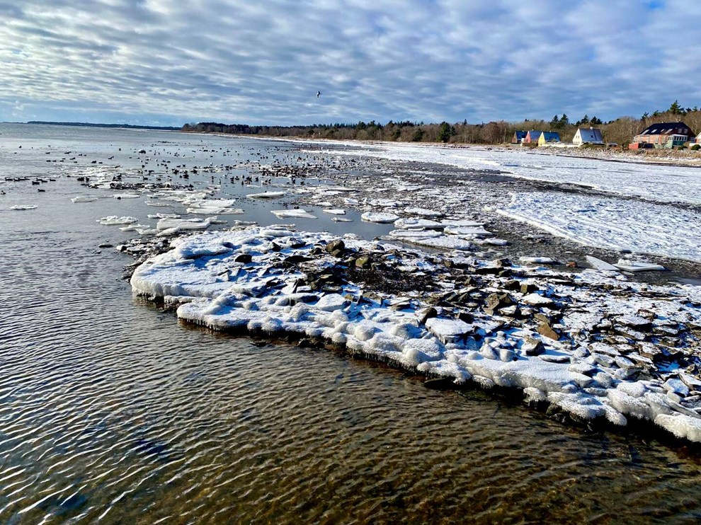 Dagens billede: Vinterbadning på en iskold, men smuk solskinsdag syd for Nexø Dagens billede: Vinterbadning på en iskold, men smuk solskinsdag syd for Nexø