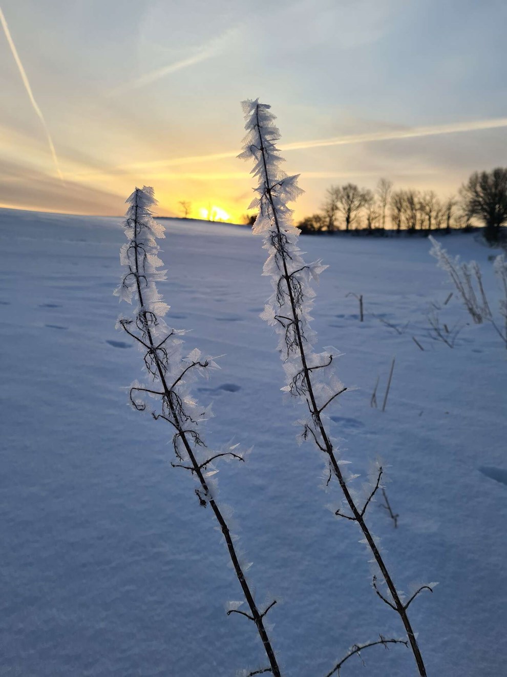 Dagens billede: Kunst uden kunstner