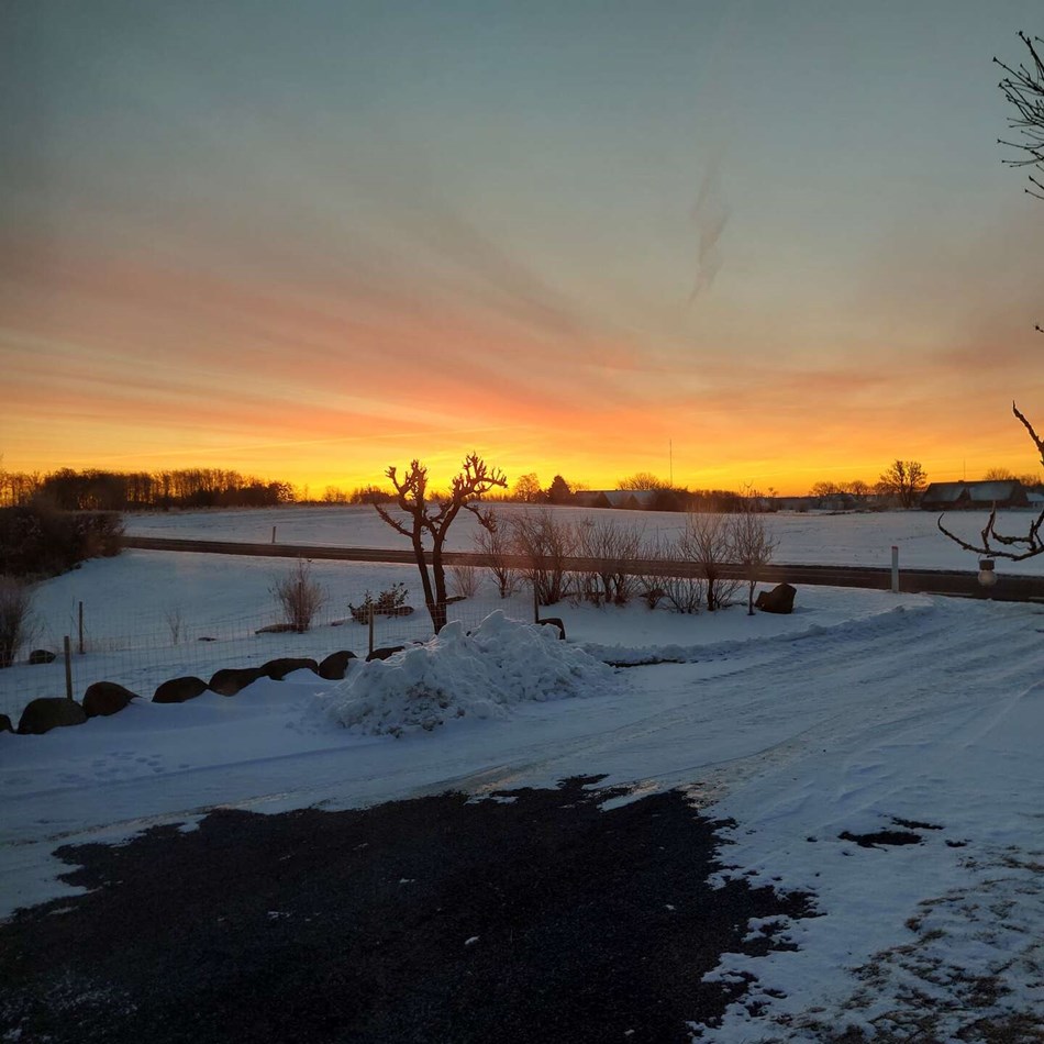 Dagens billede: Solopgang p� Splitsg�rdsvej i -9 grader frost