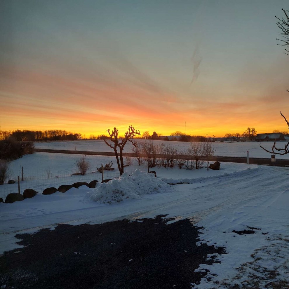 Dagens billede: Solopgang på Splitsgårdsvej i -9 grader frost Dagens billede: Solopgang på Splitsgårdsvej i -9 grader frost