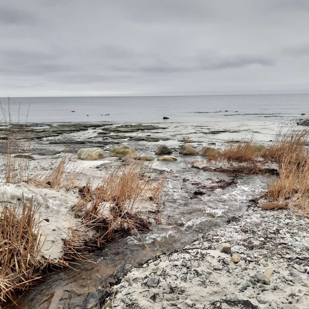 Dagens billede: Str�mmen kan det knibe med, men...