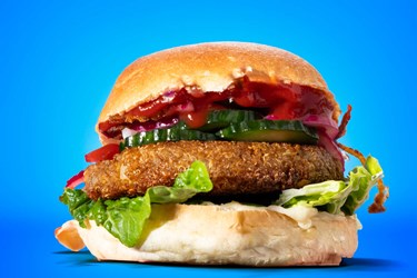 Nyt projekt opstår - og det bliver helt gratis