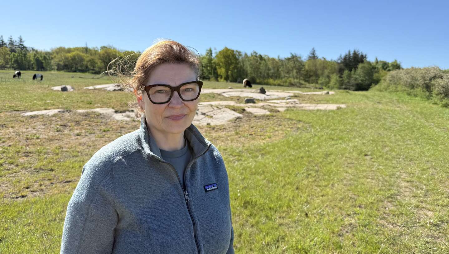 Vil have svinevalg: 'Ved at v�re store udfordringer'