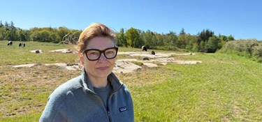 Vil have svinevalg: 'Ved at være store udfordringer'