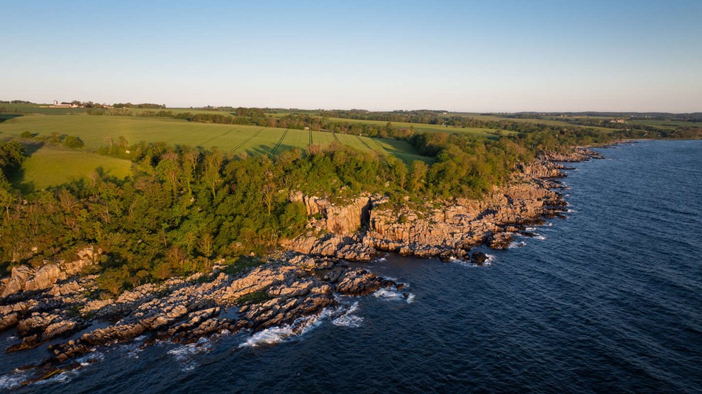 Stor landbrugsejendom solgt i intern handel
