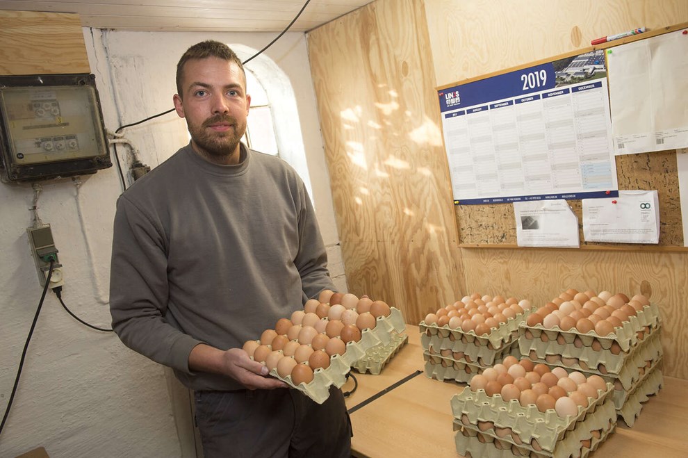 M�tte aflive alle h�ns: Nu er det slut med �g fra Frosteg�rd