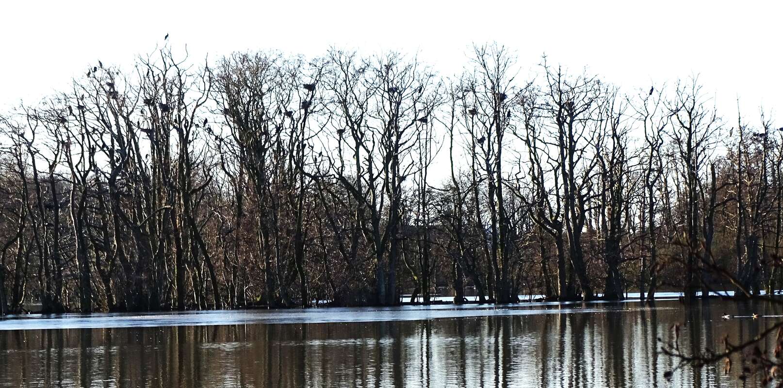 Her er paradis ved Nex�