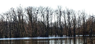 Her er paradis ved Nexø