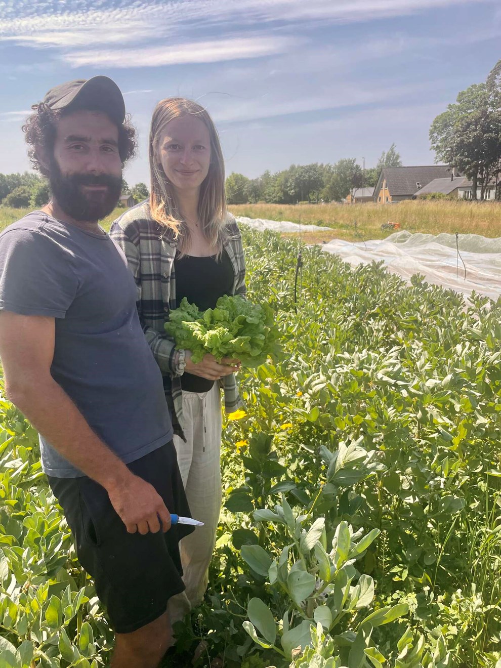 �ben G�rd p� Hammersly