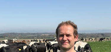 Verdens bedste fødevarer