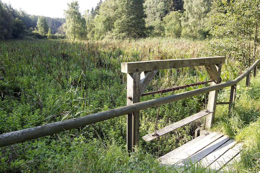 Nu er planen klar: Sådan skal den blive mere vild Nu er planen klar: Sådan skal den blive mere vild