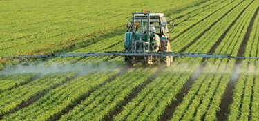 Fra svinestald til rent drikkevand